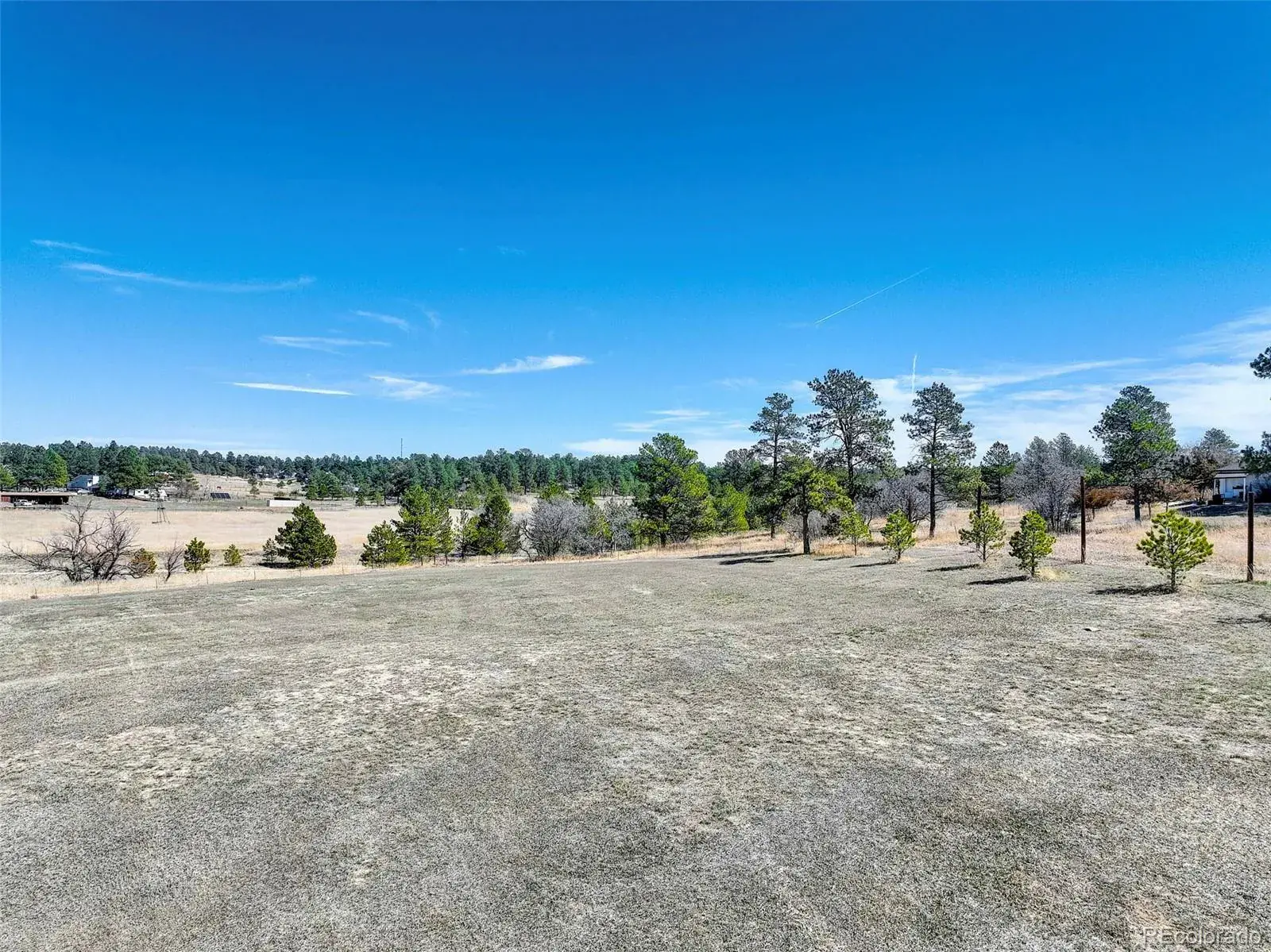 2568 Fox View Trail Franktown CO 80116 | MLS #REC5082785 06112025211932 1600 15