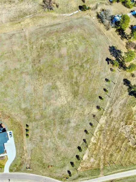 2568 Fox View Trail Franktown CO 80116 | MLS #REC5082785 06112025211932 800 5