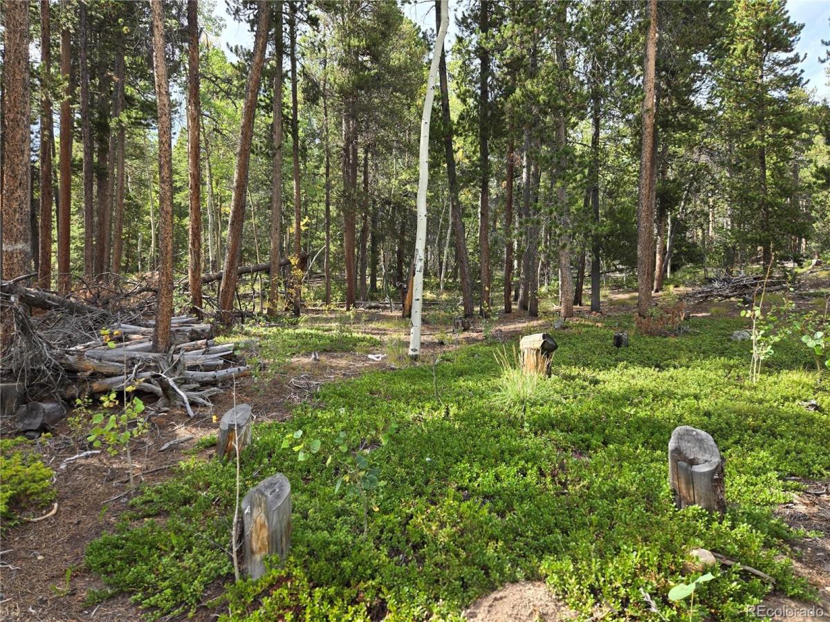 MLS #REC5083100 image #0