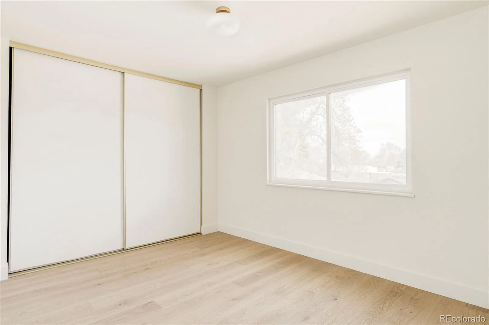 6097 S Jackson Street Centennial CO 80121 MLS #REC5089535 04172026172242 1600 21