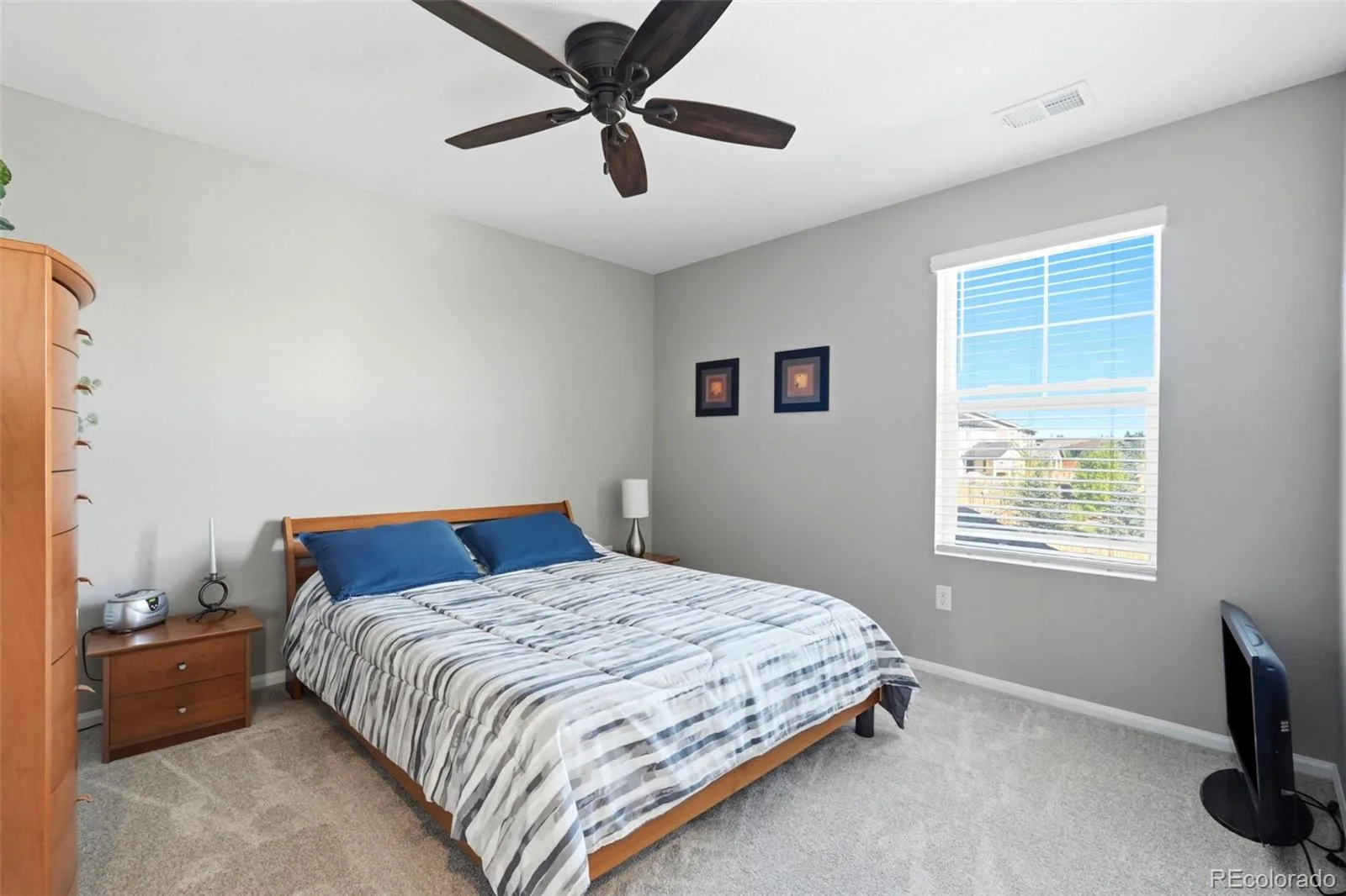 359 Vista Cliff Circle Castle Rock CO 80104 | MLS #REC5093059 08212026185351 1600 25