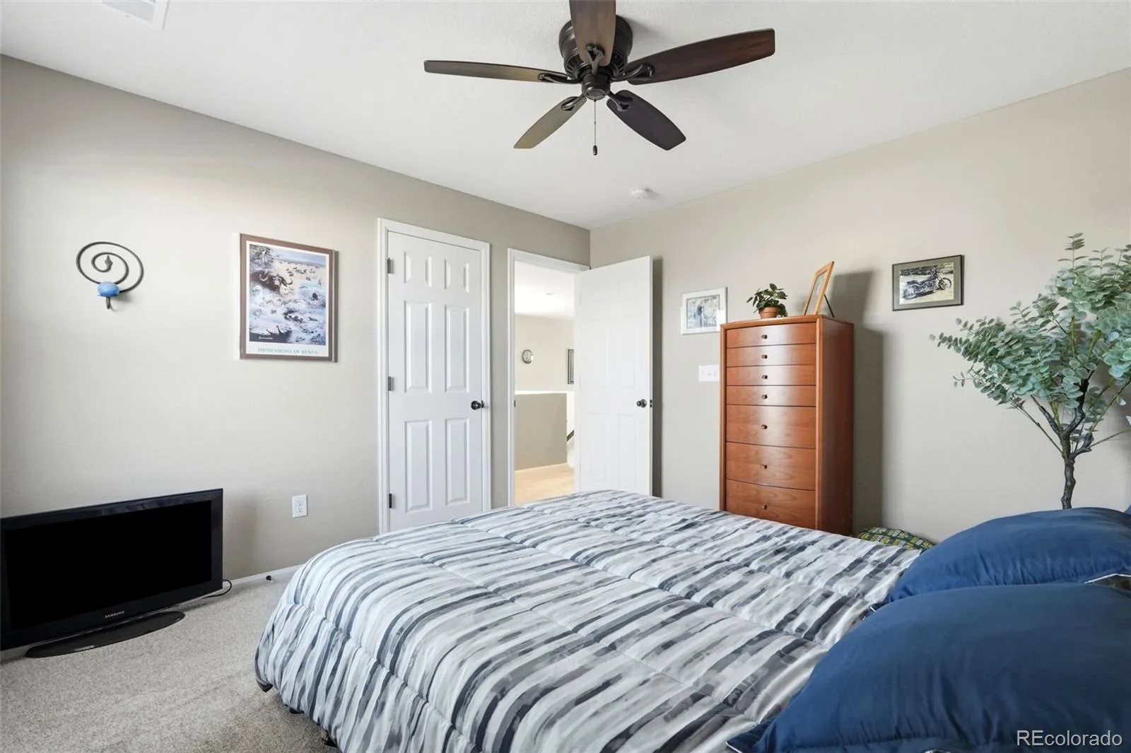 359 Vista Cliff Circle Castle Rock CO 80104 | MLS #REC5093059 08212026185351 1600 26