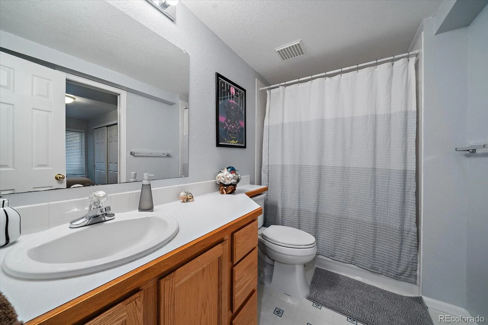 10654 Apishamore Court Parker CO 80134 | MLS #REC5093626 08072026044450 1600 19