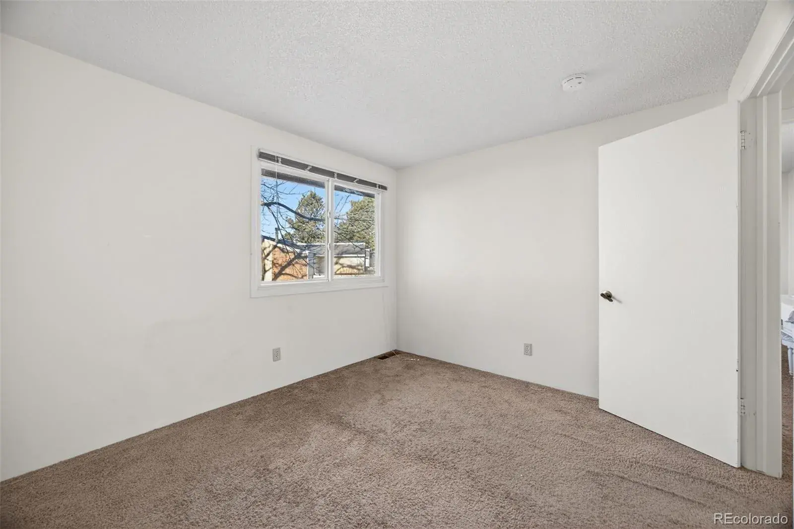 01092026143705 1600 13