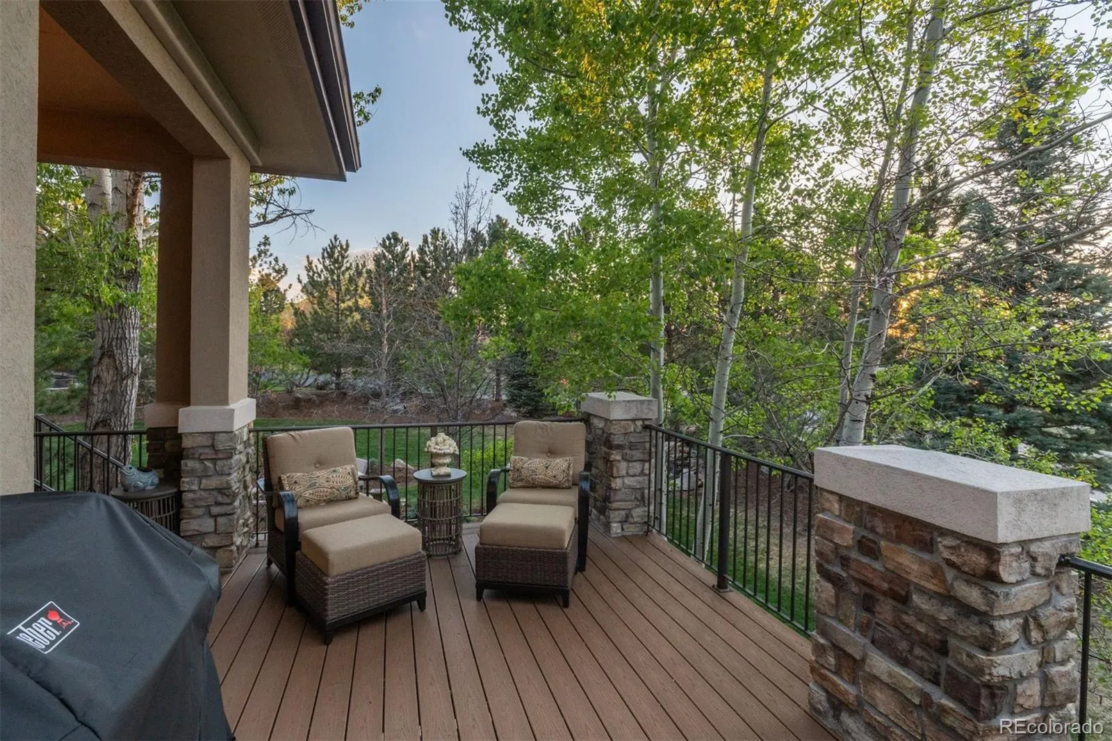 6257 Oxford Peak Court Castle Rock CO 80108 MLS #REC5105205 05012026152754 1600 9