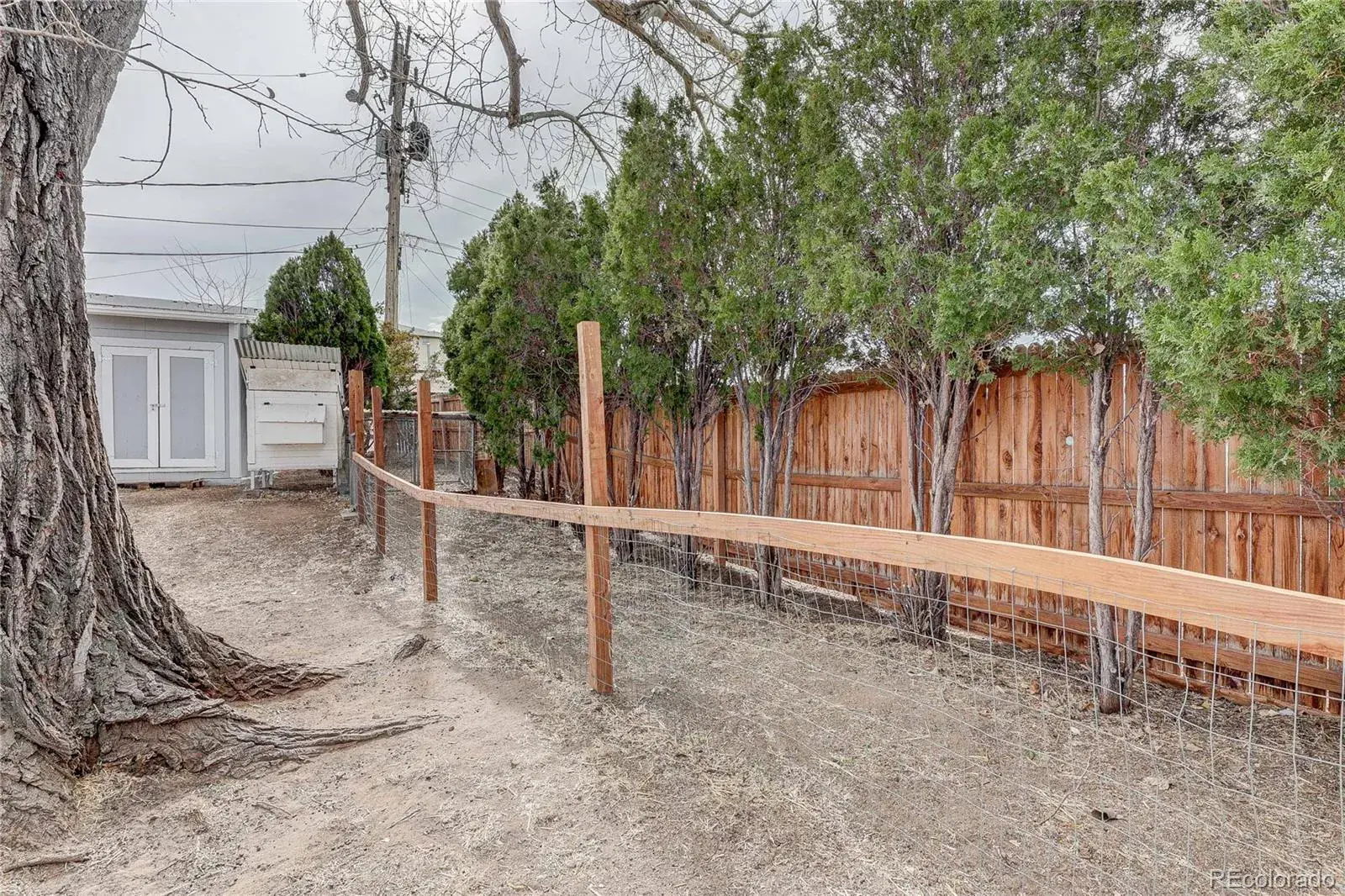 02252026053612 1600 32