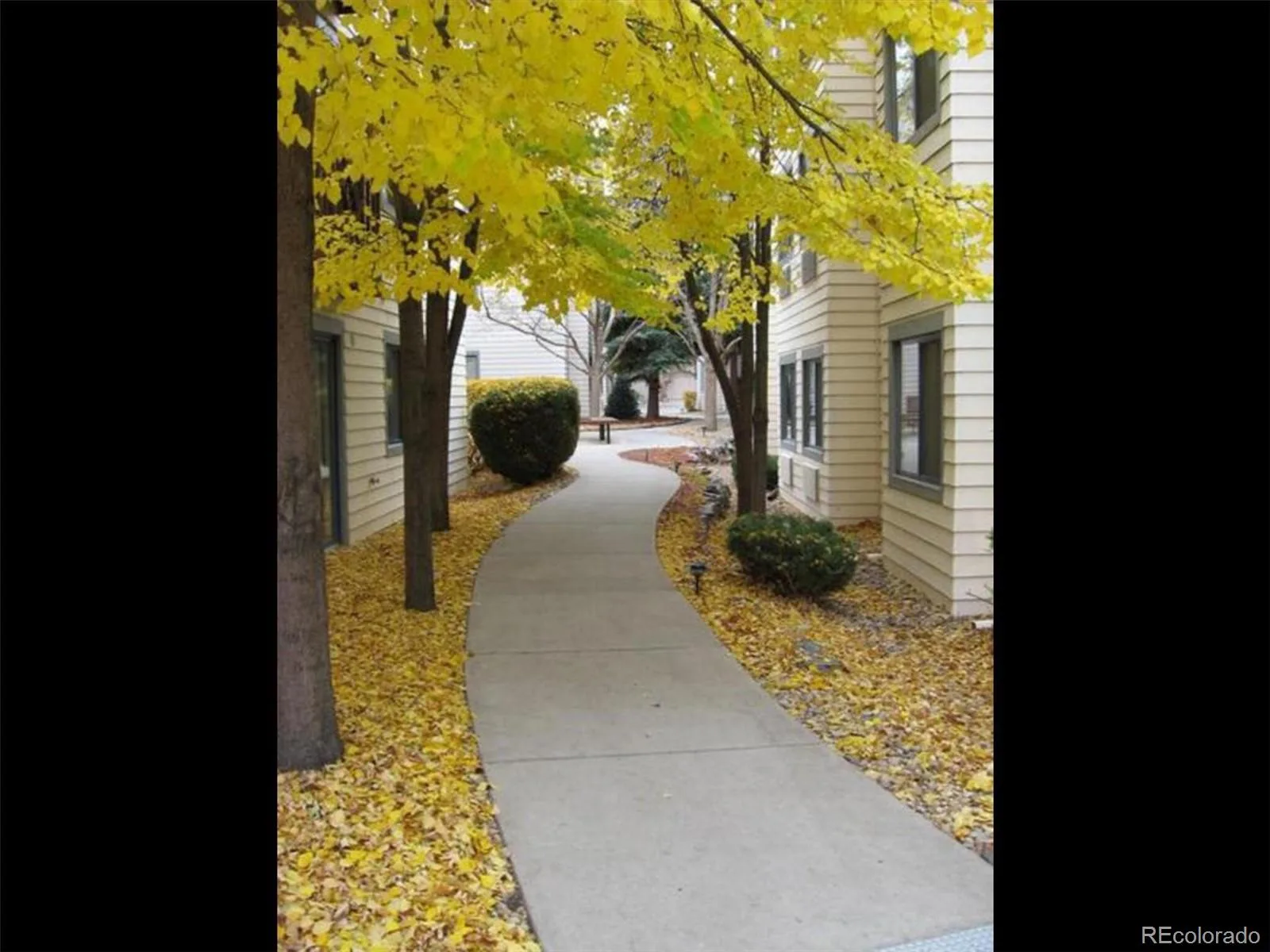 6380 S Boston Street #191 #BLD 9 Greenwood Village CO 80111 MLS #REC5109201 06082026235947 1600 28