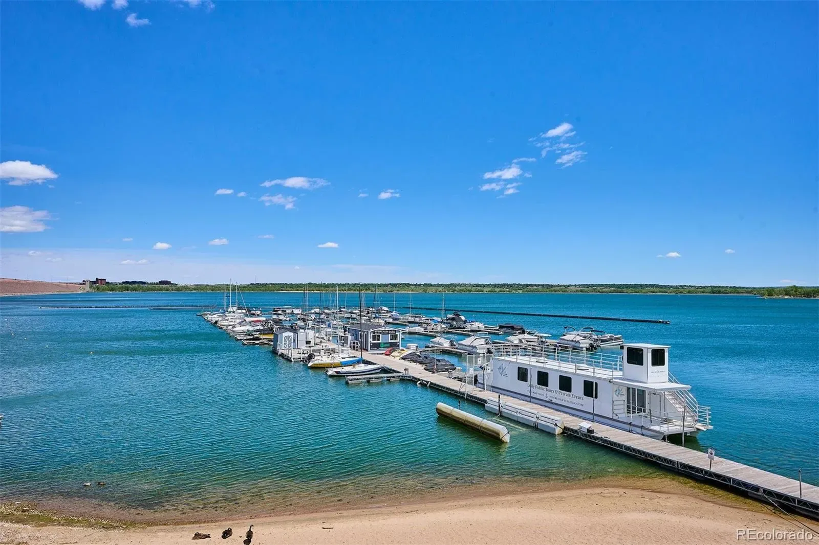 03132026043546 1600 45