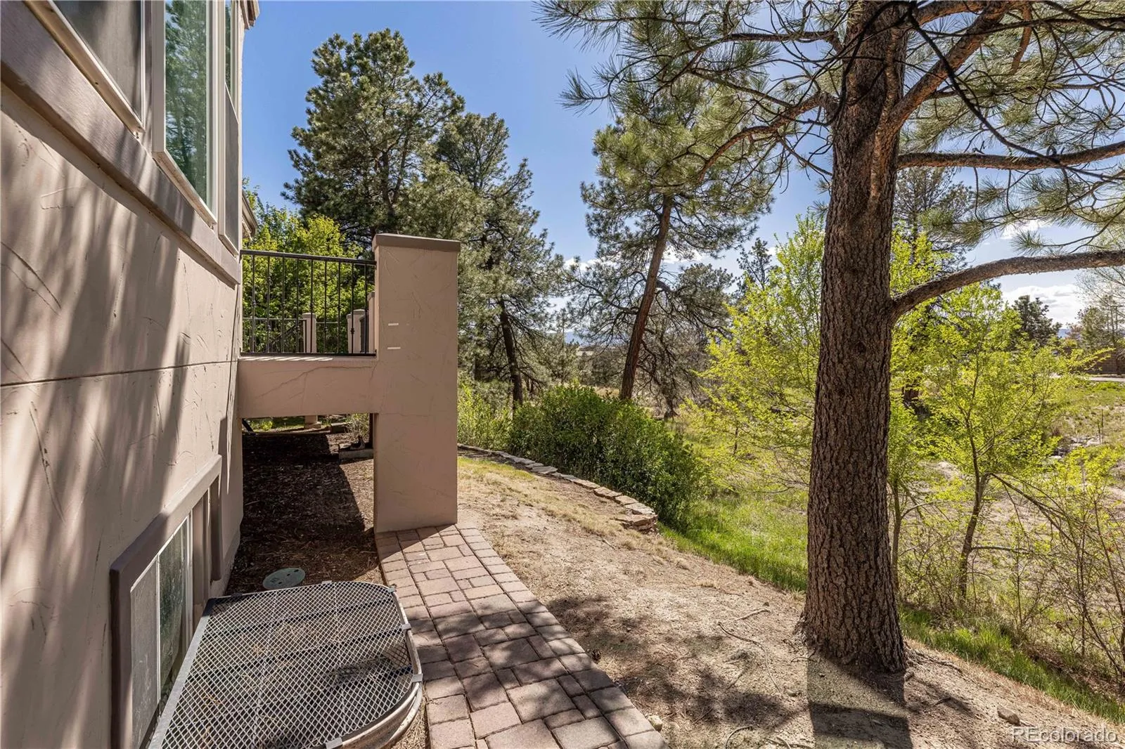 5011 Vermillion Court Castle Rock CO 80108 MLS #REC5113387 05072026163651 1600 32
