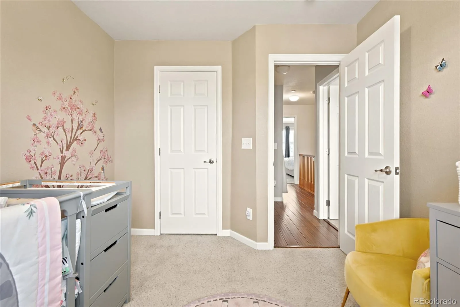 22861 E Briarwood Place Aurora CO 80016 | MLS #REC5115760 07032026161324 1600 31