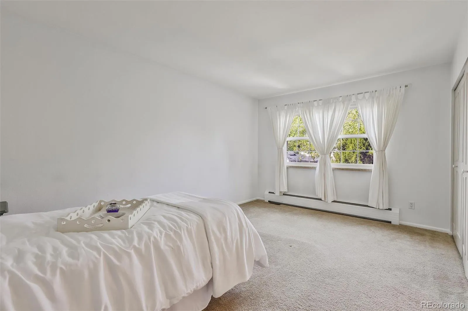 3538 S Ivanhoe Street Denver CO 80237 MLS #REC5118386 05072026040417 1600 17