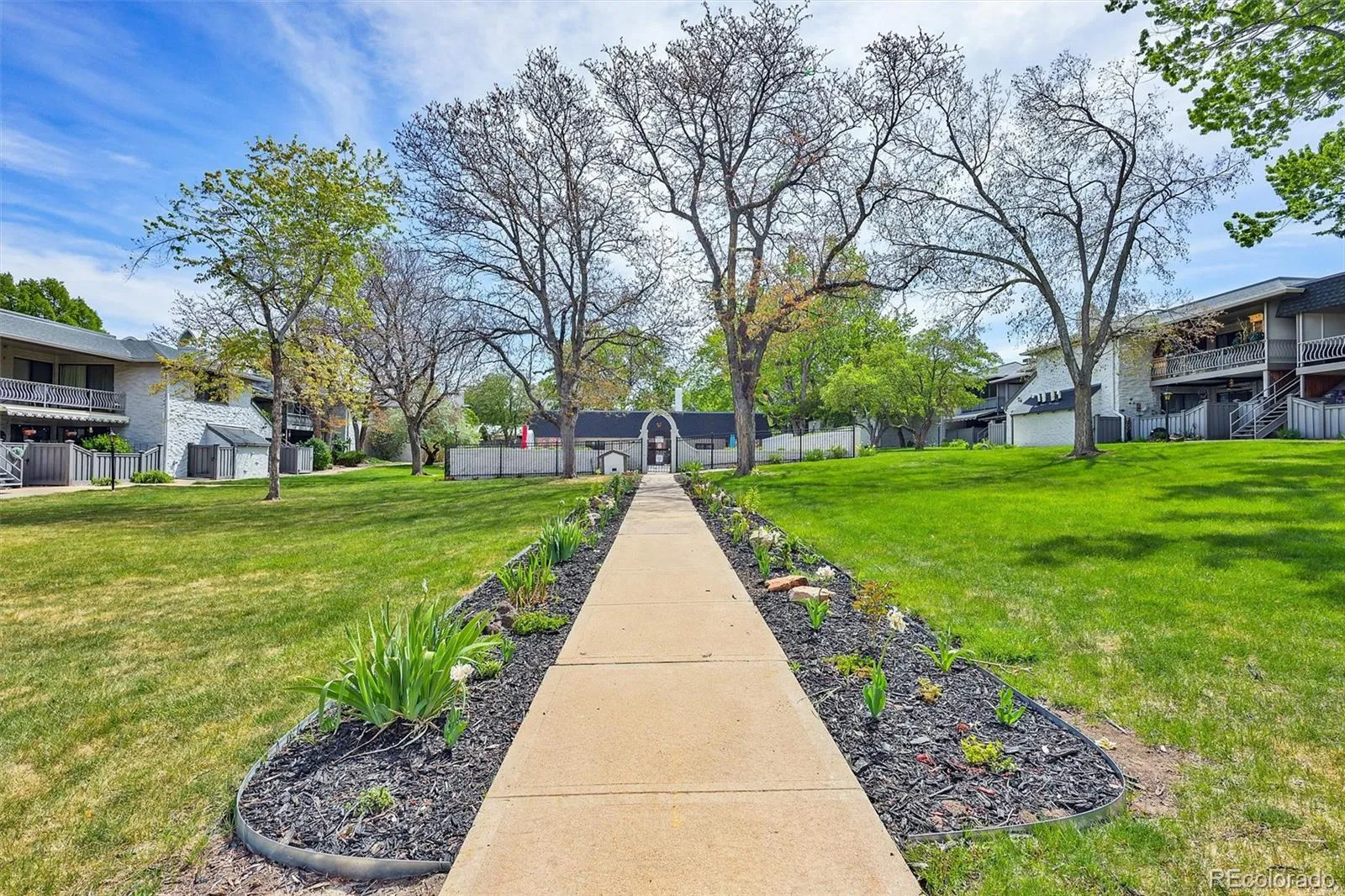 3538 S Ivanhoe Street Denver CO 80237 MLS #REC5118386 05072026040417 1600 26