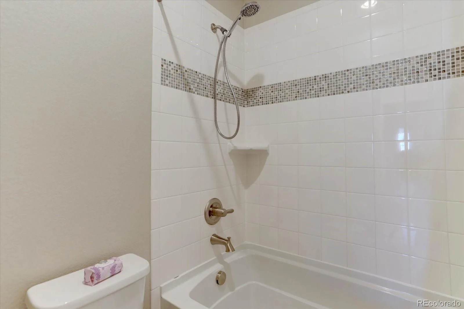 13956 Blue Wing Lane Parker CO 80134 | MLS #REC5122184 08292026195321 1600 32
