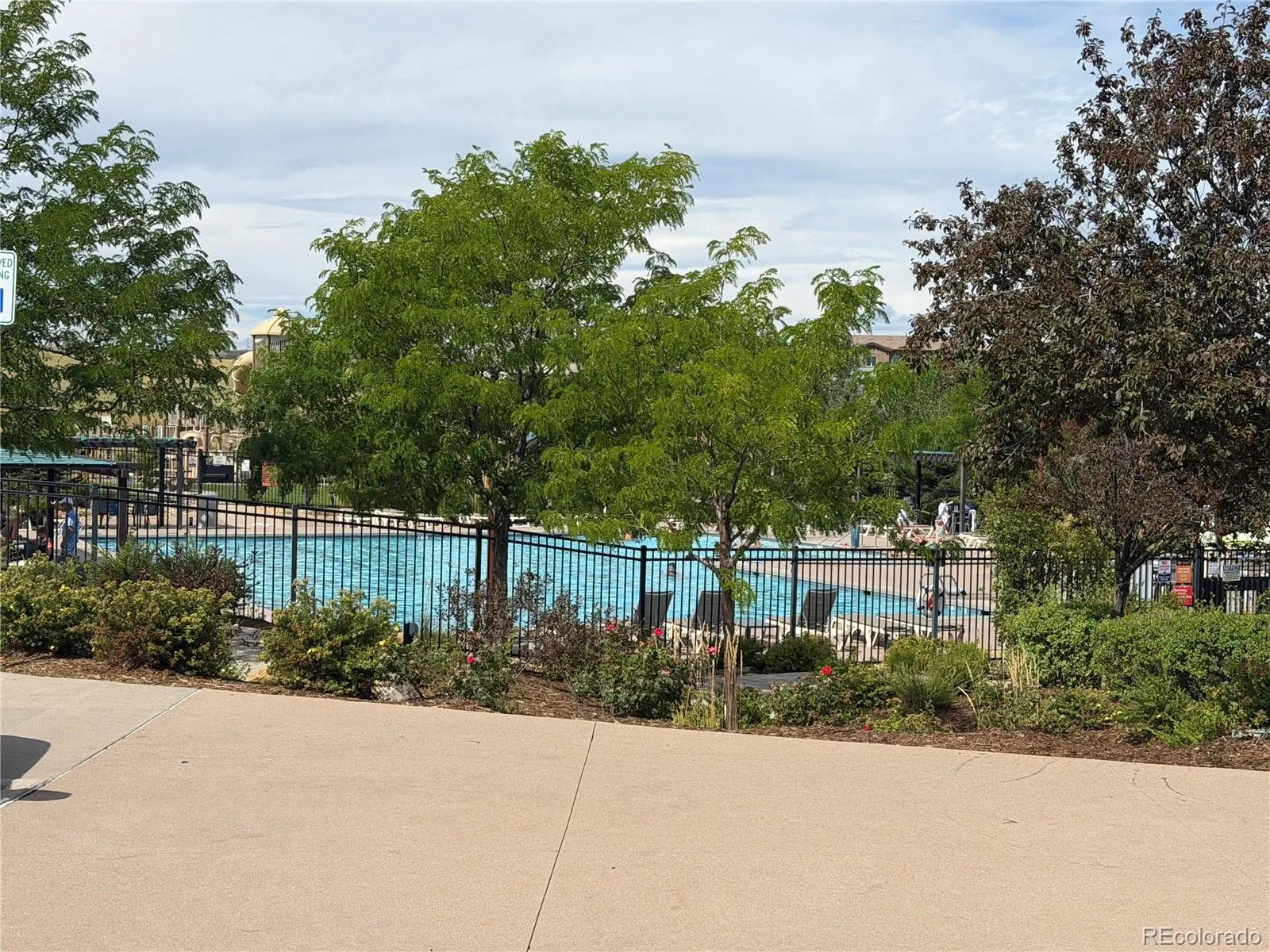 13956 Blue Wing Lane Parker CO 80134 | MLS #REC5122184 08292026195321 1600 42