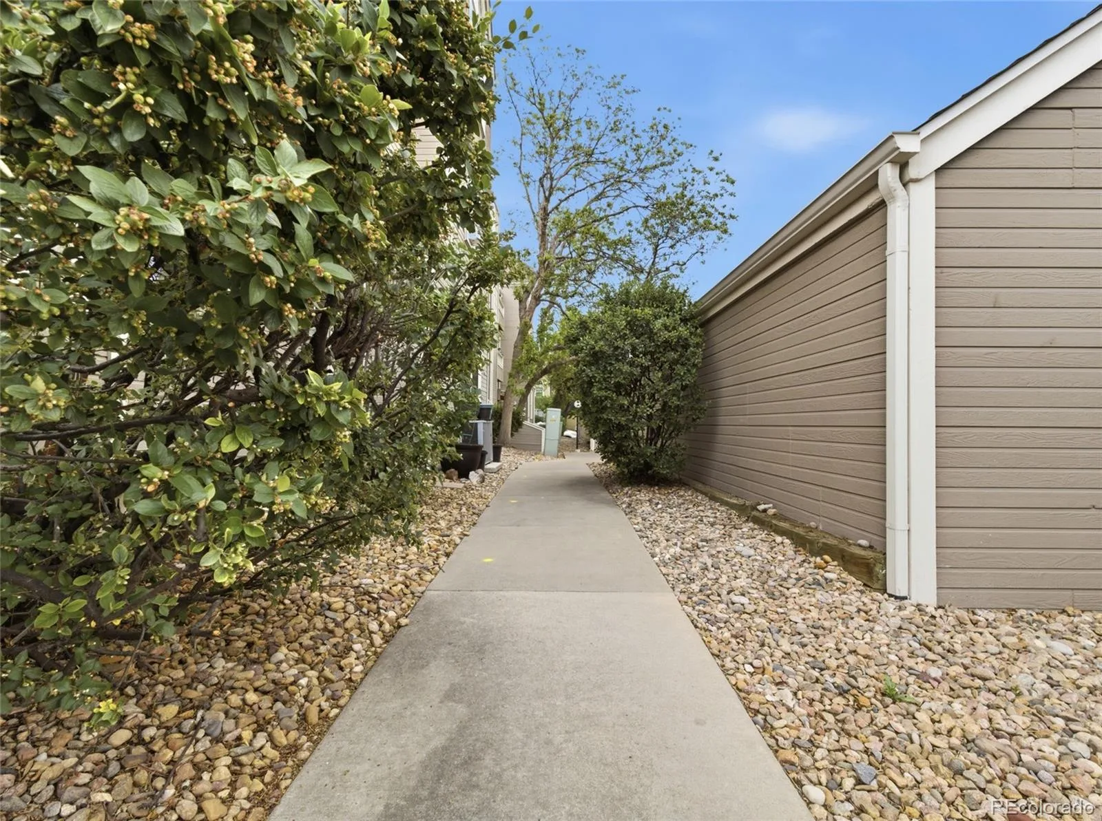 5705 W Atlantic Place #106 Lakewood CO 80227 | MLS #REC5123725 06272026140442 1600 23