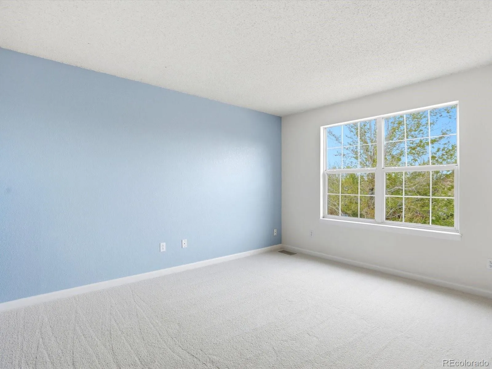 6429 Devinney Street Arvada CO 80004 MLS #REC5135236 04172026171701 1600 36