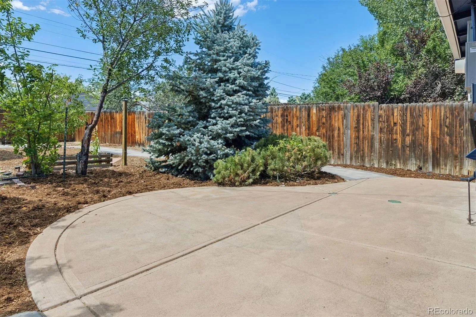 1321 Tamarac Street Denver CO 80220 | MLS #REC5139349 09242026070802 1600 46