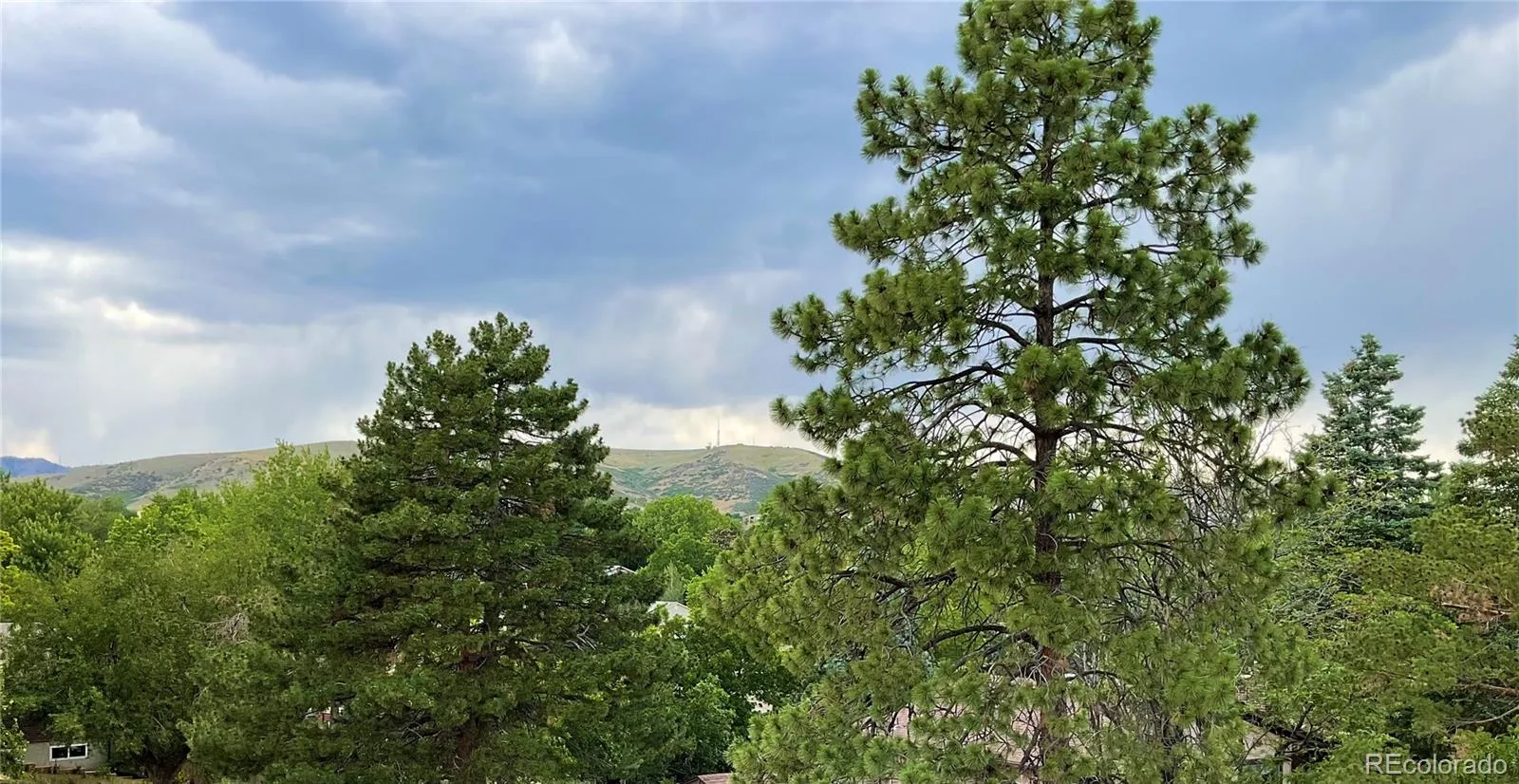 1221 S Ward Court Denver CO 80228 MLS #REC5140450 07102026003912 1600 45
