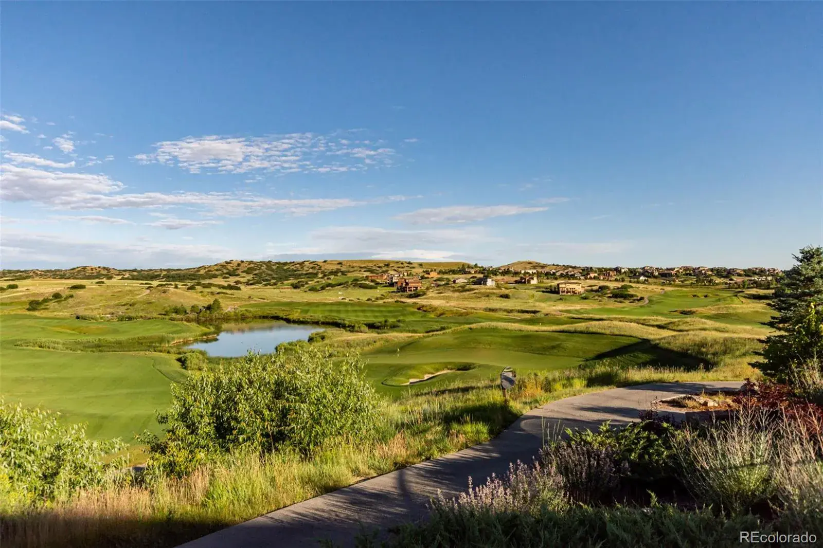 4512 Carefree Trail Parker CO 80134 MLS #REC5144861 03062026215032 1600 33