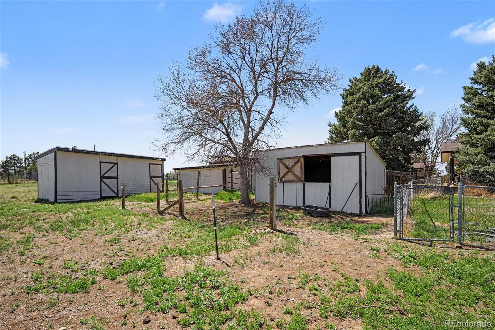 9270 Inspiration Drive Parker CO 80138 MLS #REC5147294 05132026212453 1600 19