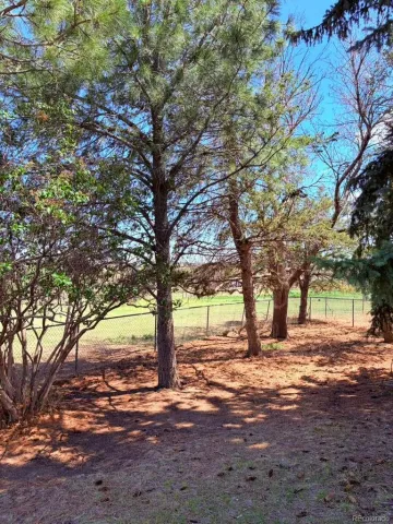 9270 Inspiration Drive Parker CO 80138 MLS #REC5147294 05132026212453 640 21