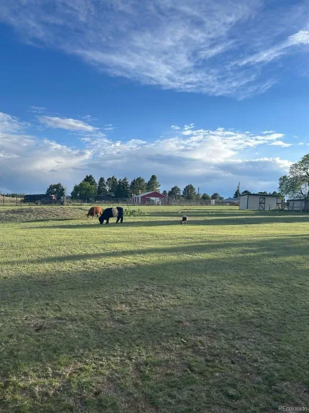 9270 Inspiration Drive Parker CO 80138 MLS #REC5147294 05312026160752 800 1