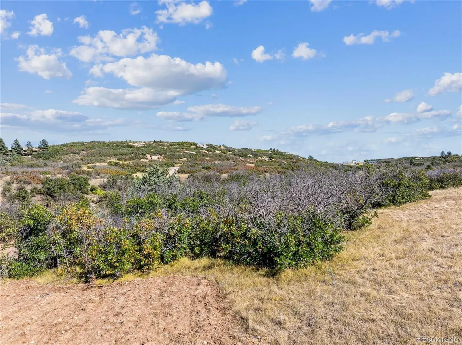 1725 N Rocky View Road Castle Rock CO 80108 | MLS #REC5148496 09272025022800 1600 3