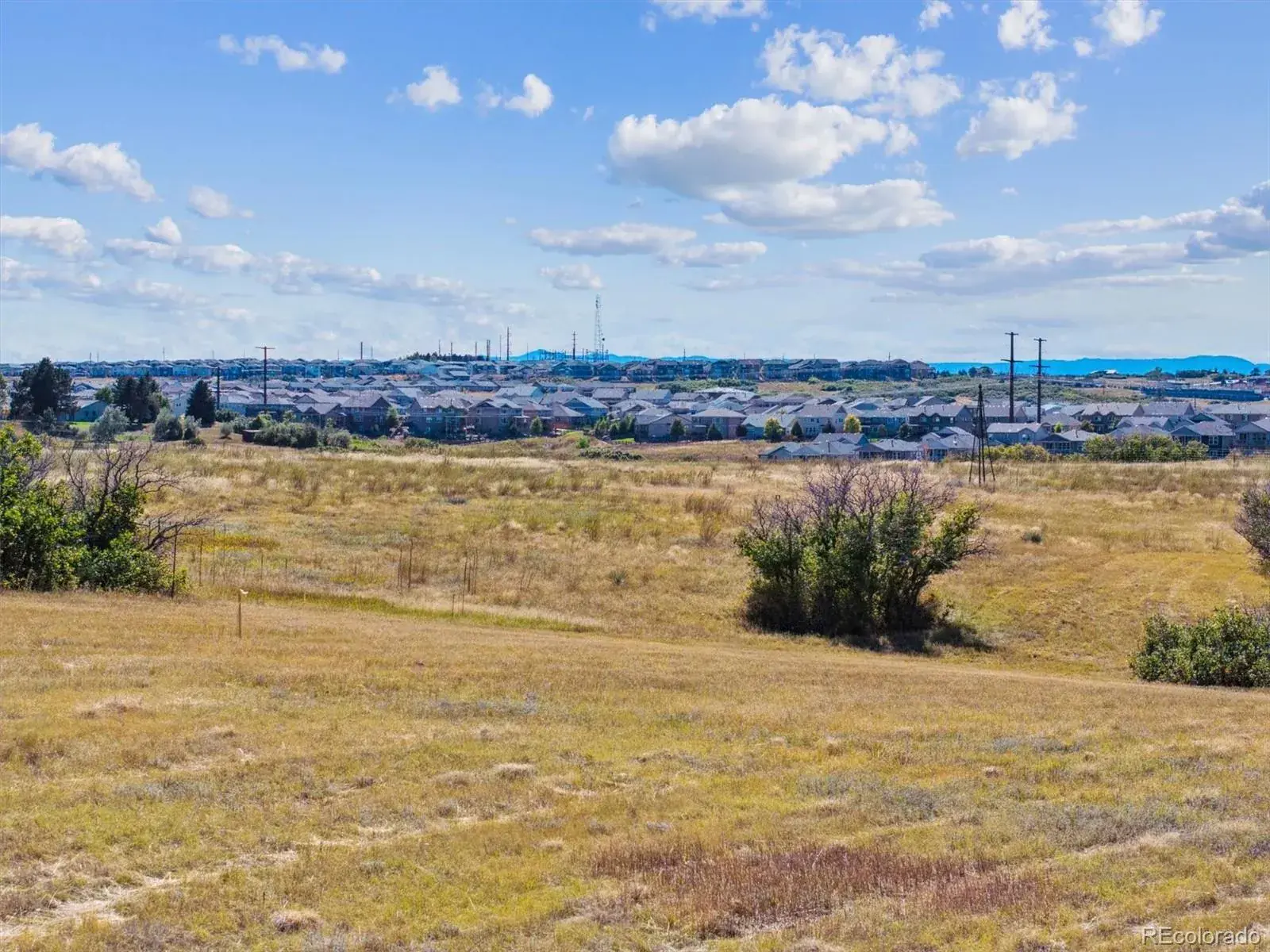 1725 N Rocky View Road Castle Rock CO 80108 | MLS #REC5148496 09272025022800 1600 4