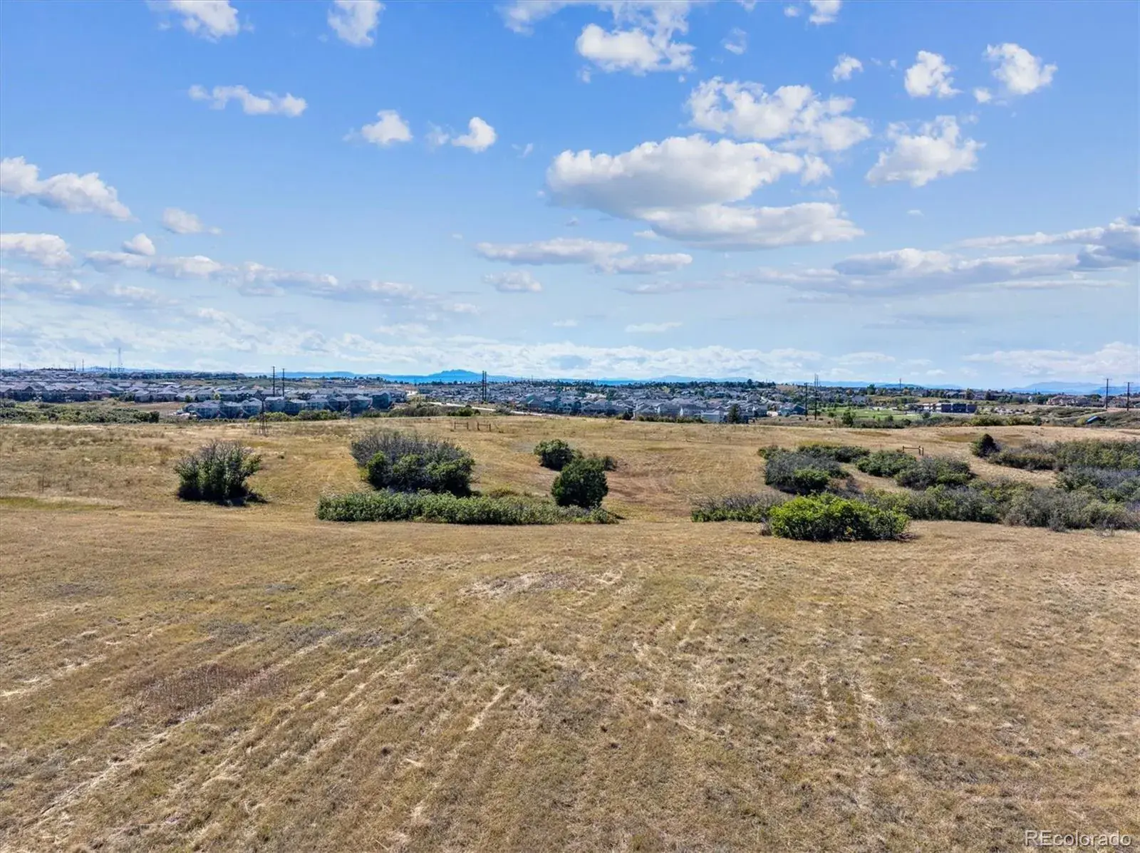 1725 N Rocky View Road Castle Rock CO 80108 | MLS #REC5148496 09272025022800 1600 5