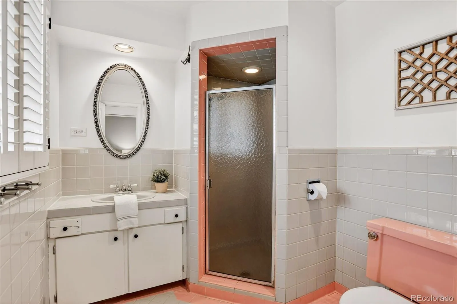 245 Locust Lane Denver CO 80220 MLS #REC5153421 04302026035512 1600 25