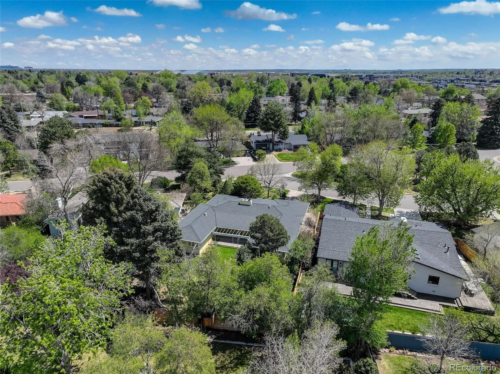 245 Locust Lane Denver CO 80220 MLS #REC5153421 04302026035512 1600 42