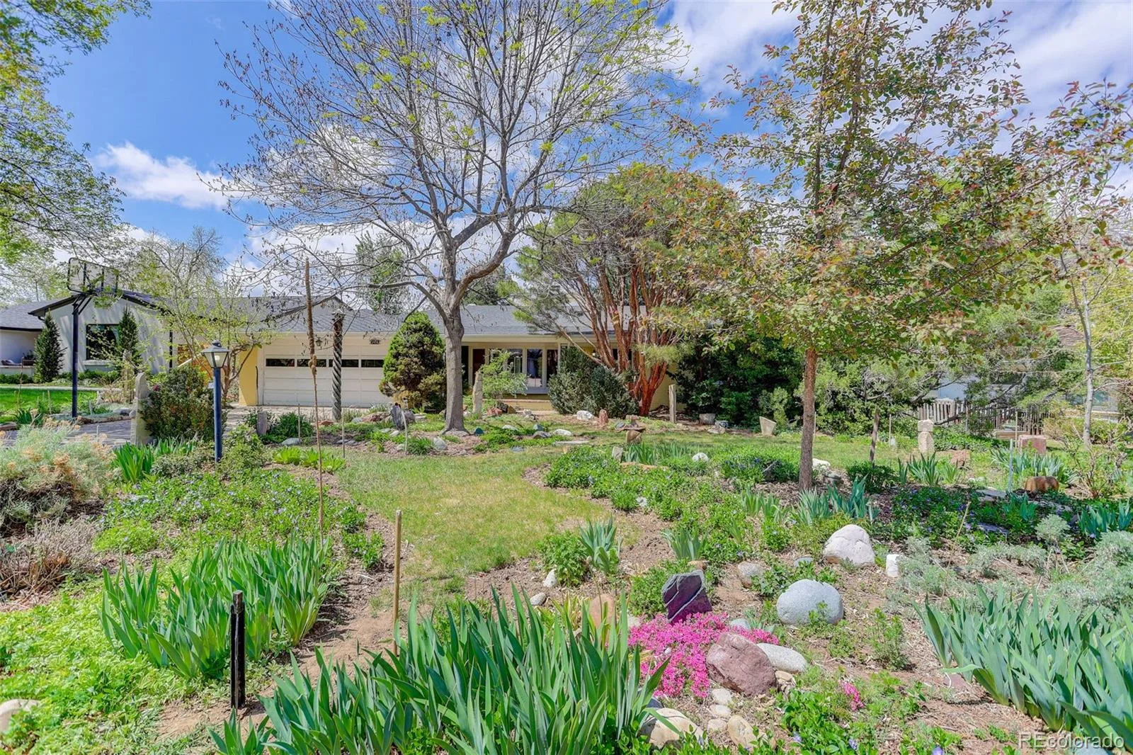 245 Locust Lane Denver CO 80220 MLS #REC5153421 06102026182716 1600 1