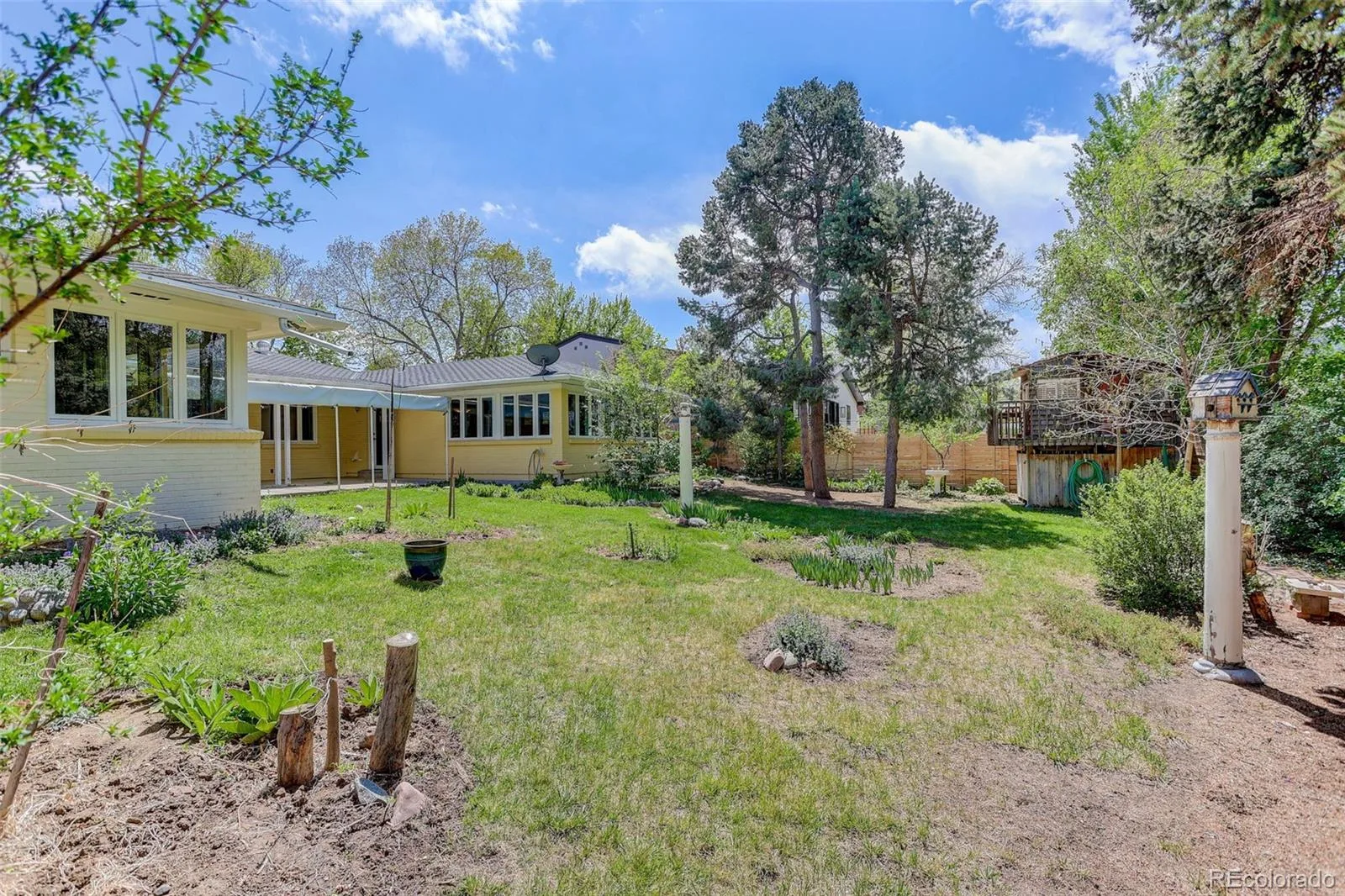 245 Locust Lane Denver CO 80220 MLS #REC5153421 06102026182716 1600 38