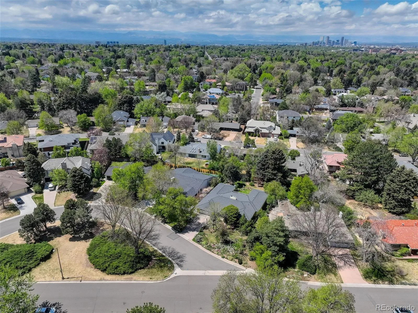 245 Locust Lane Denver CO 80220 MLS #REC5153421 06102026182716 1600 40