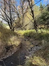7438 S Turkey Creek Road Morrison CO 80465 | MLS #REC5153586 08282026041115 300 0