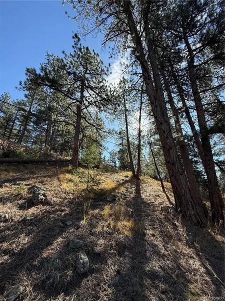 7438 S Turkey Creek Road Morrison CO 80465 | MLS #REC5153586 08282026041115 800 10