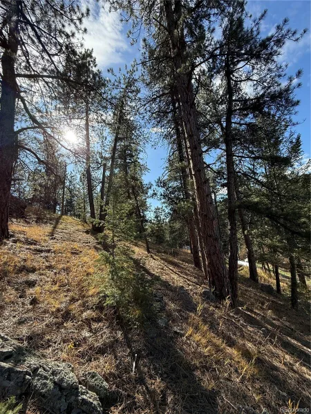 7438 S Turkey Creek Road Morrison CO 80465 | MLS #REC5153586 08282026041115 800 11