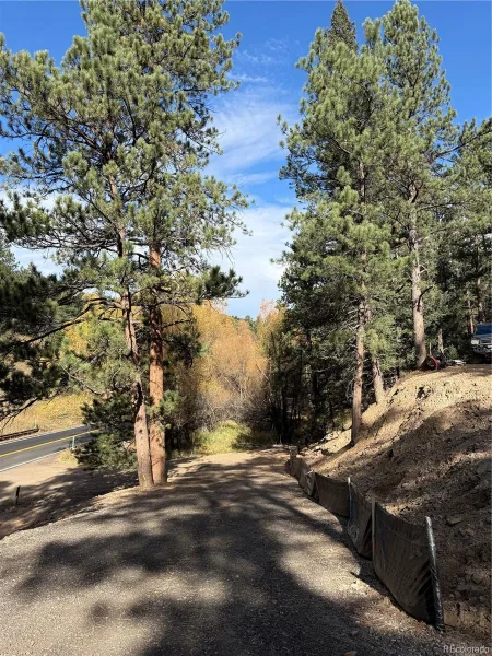 7438 S Turkey Creek Road Morrison CO 80465 | MLS #REC5153586 08282026041115 800 4