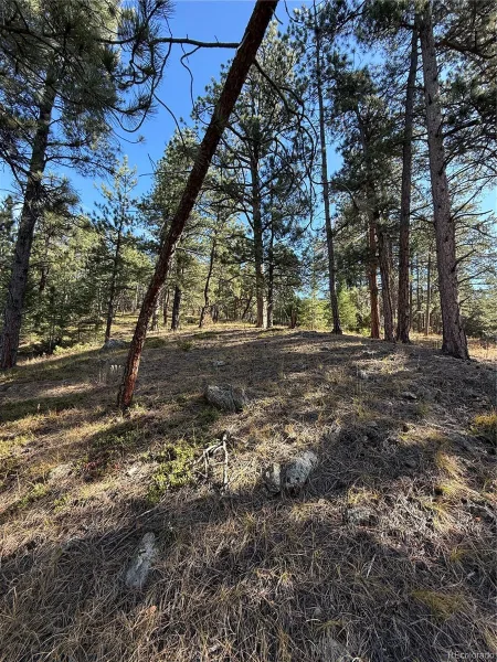 7438 S Turkey Creek Road Morrison CO 80465 | MLS #REC5153586 08282026041115 800 8