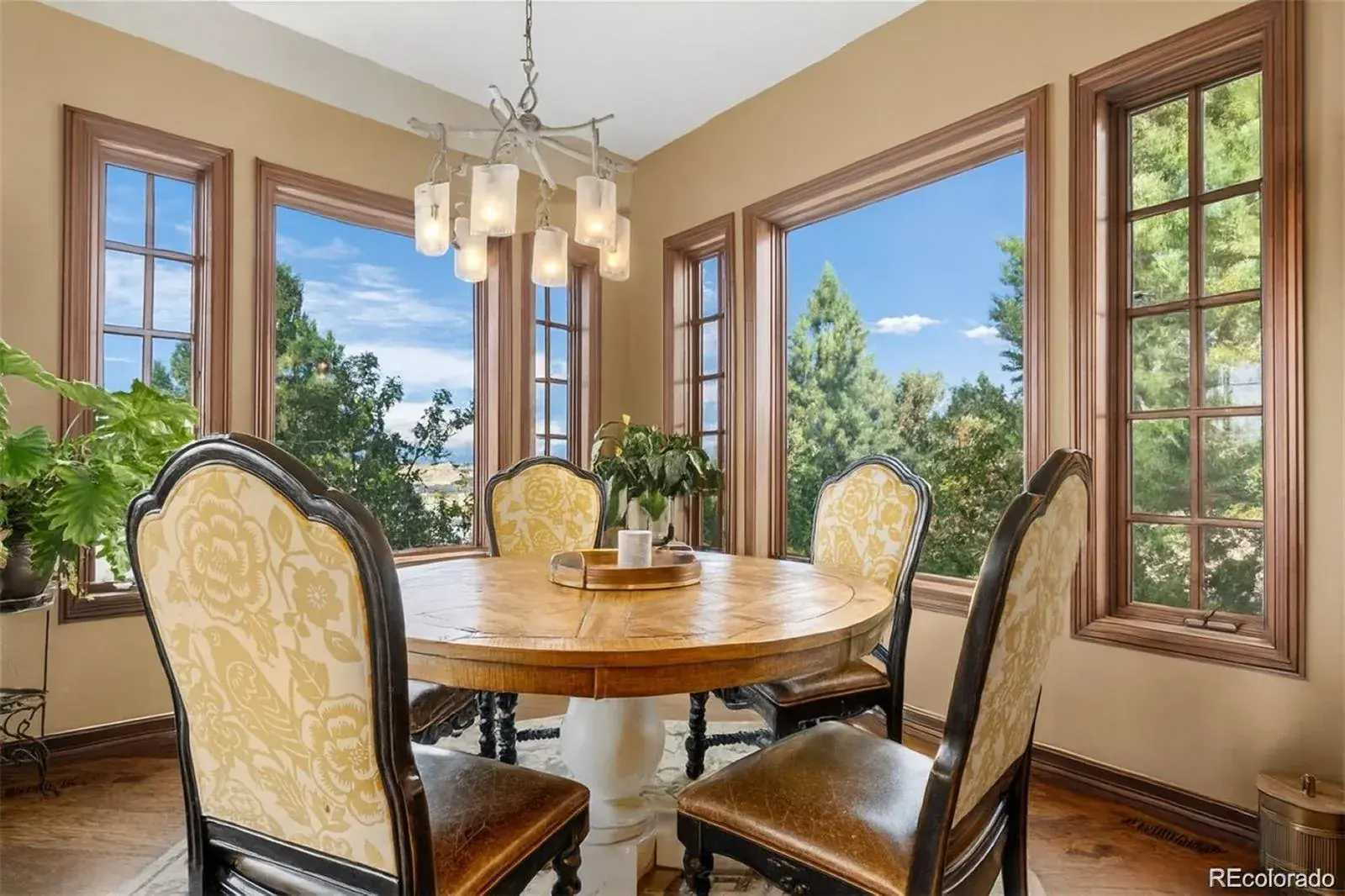 3440 Medallion Road Castle Rock CO 80104 | MLS #REC5156606 03052026221140 1600 26