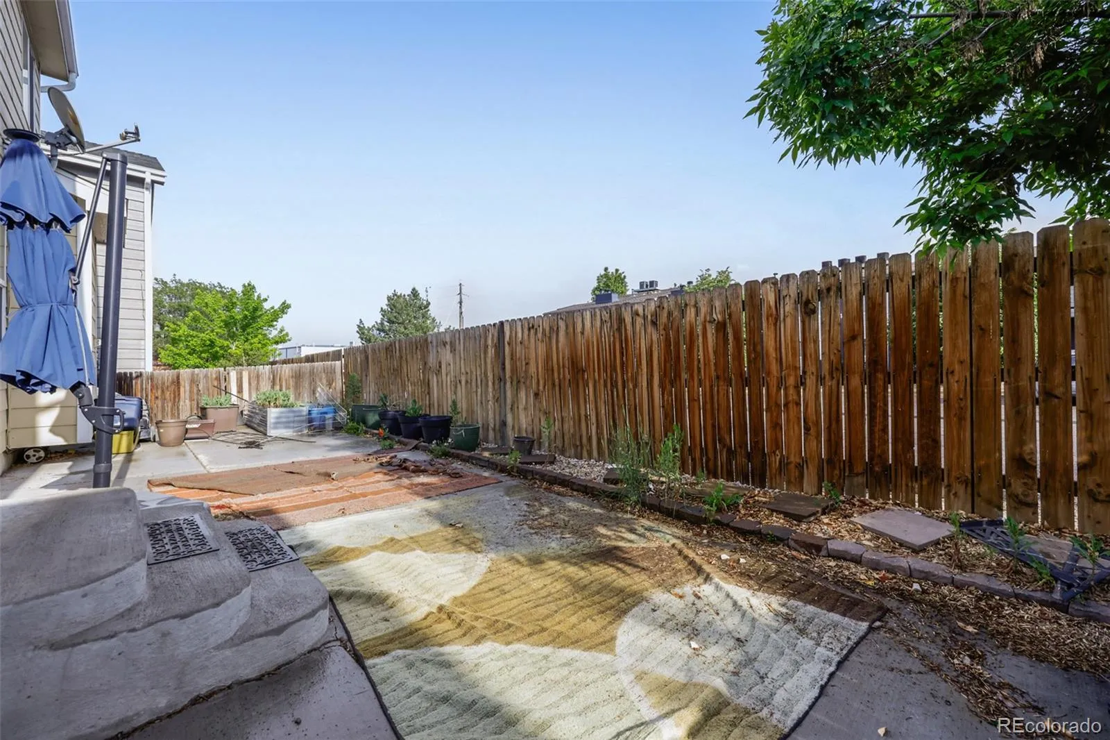1126 W 84th Place Denver CO 80260 | MLS #REC5156729 05212026235756 1600 20