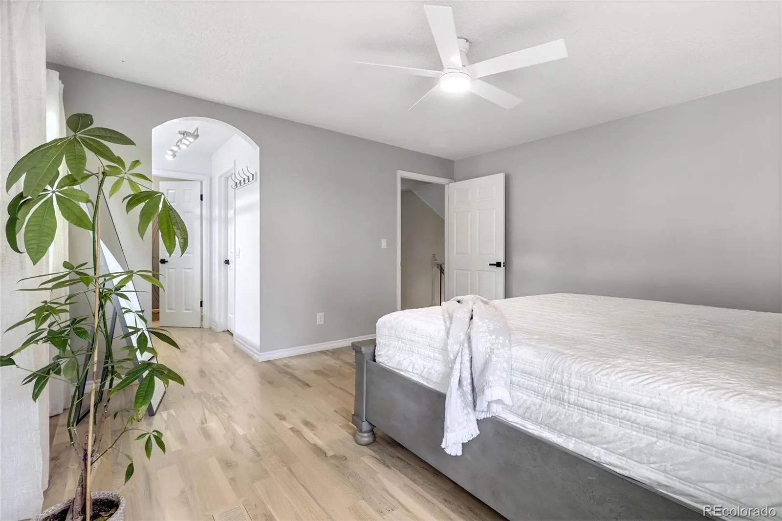 8280 Independence Street Arvada CO 80005 MLS #REC5158486 05062026194454 1600 18