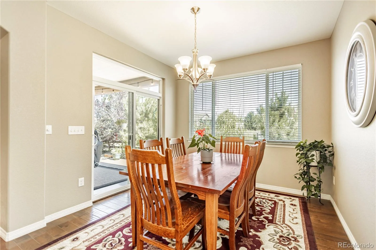 13060 Norway Maple Street Parker CO 80134 | MLS #REC5160891 06102026182751 1600 16