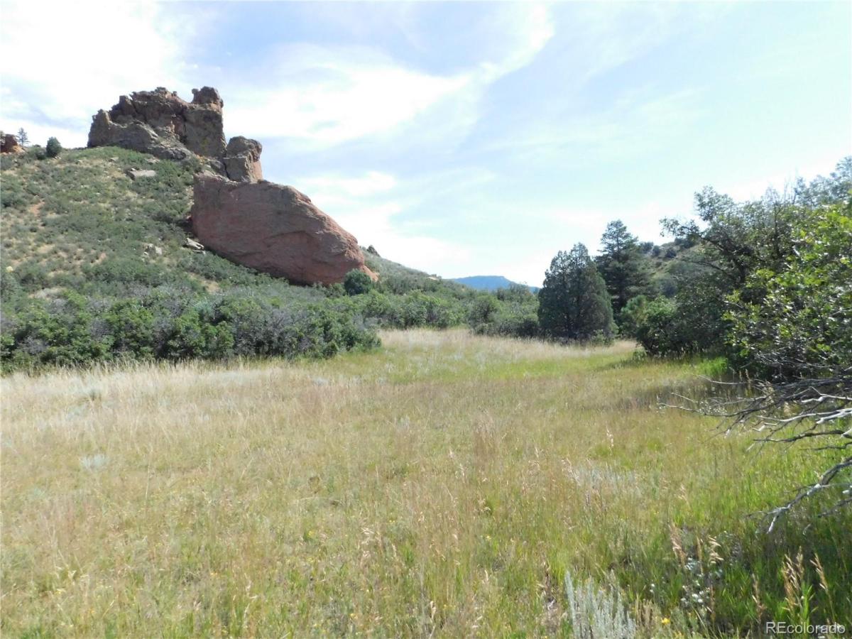 MLS #REC5161087 image #0