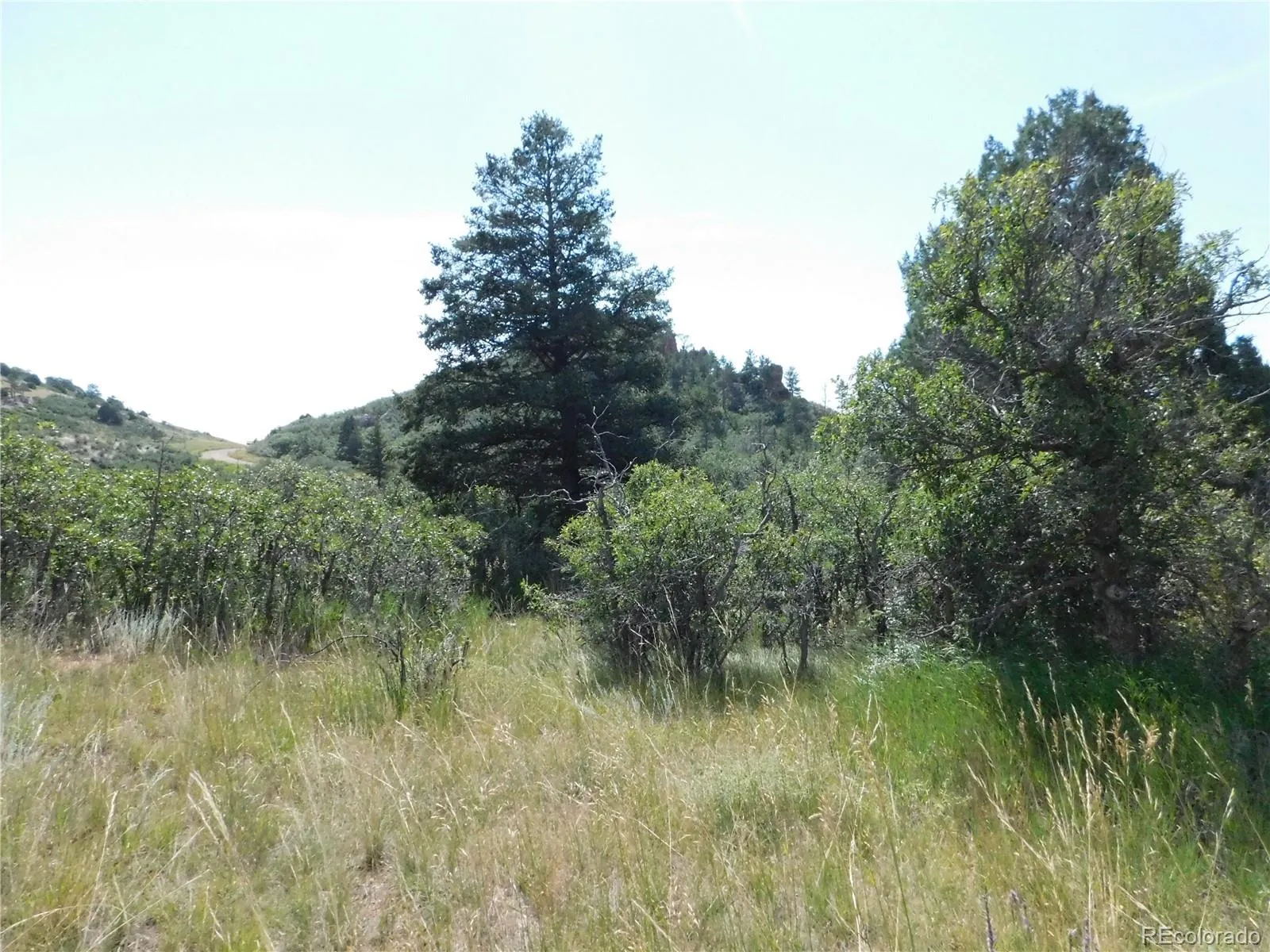 05052026235839 1600 13