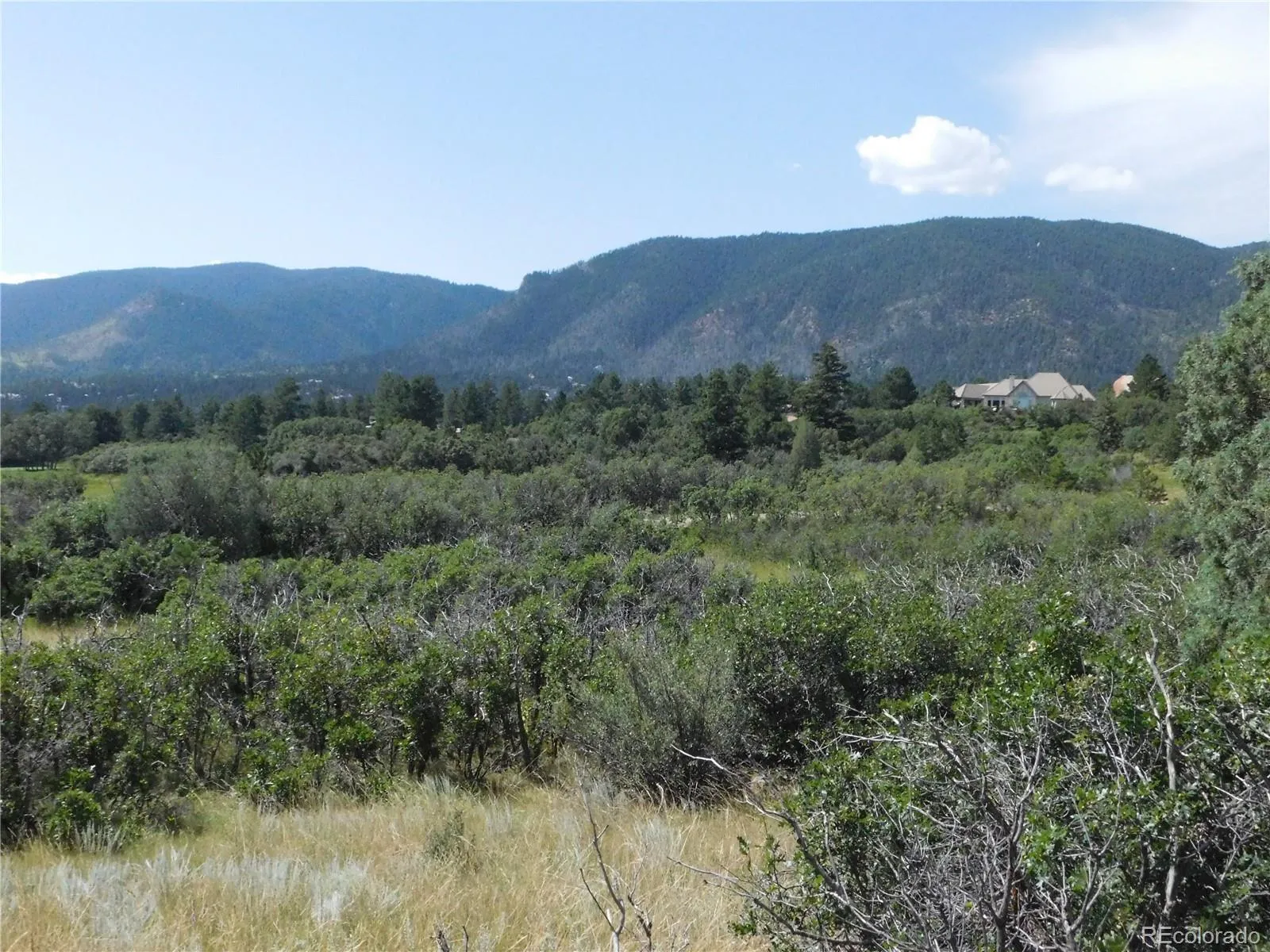 05052026235839 1600 26