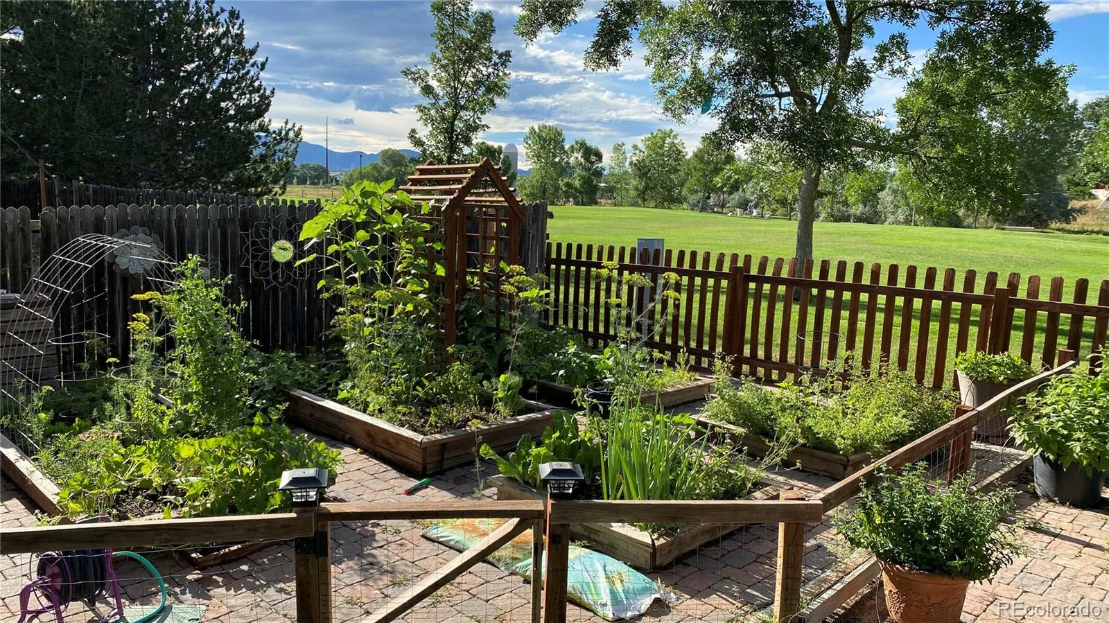7278 Union Court Arvada CO 80005 MLS #REC5161757 06302026220505 1600 34
