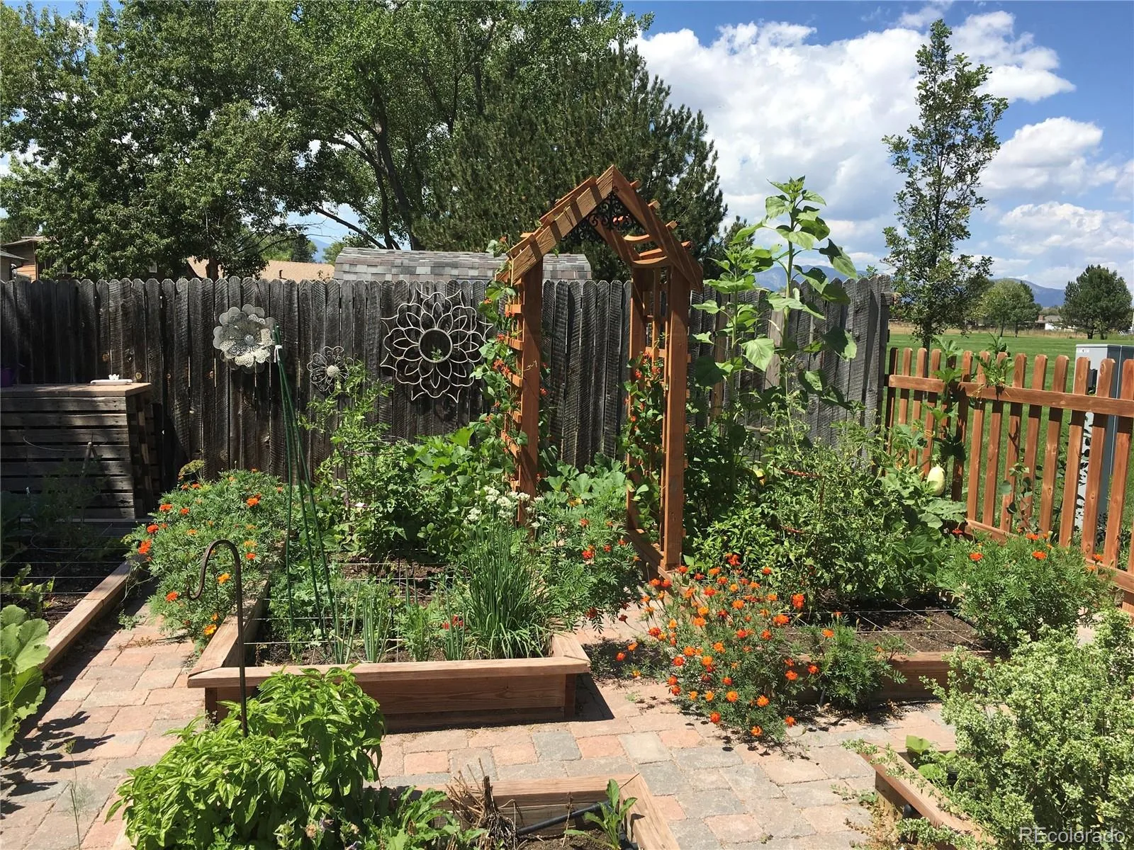 7278 Union Court Arvada CO 80005 MLS #REC5161757 06302026220505 1600 35