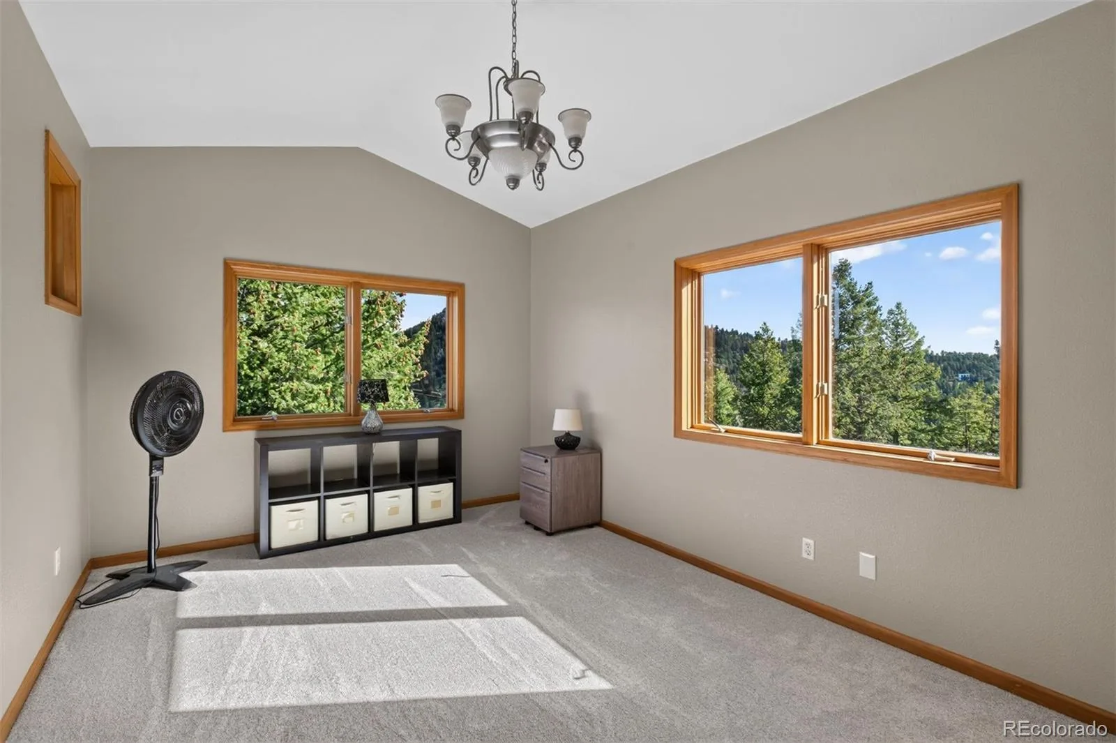 25806 Lost Cabin Trail Evergreen CO 80439 | MLS #REC5163397 08282026222933 1600 28