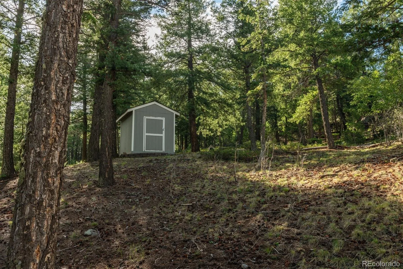 25806 Lost Cabin Trail Evergreen CO 80439 | MLS #REC5163397 08282026222933 1600 40